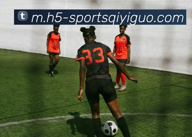 App Interface Preview